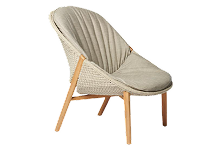 Cantilever Chair